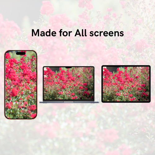 Plants Summer-Fall Pack