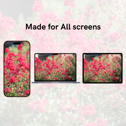 Plants Summer-Fall Pack