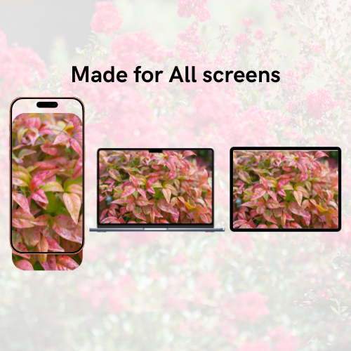 Plants Summer-Fall Pack