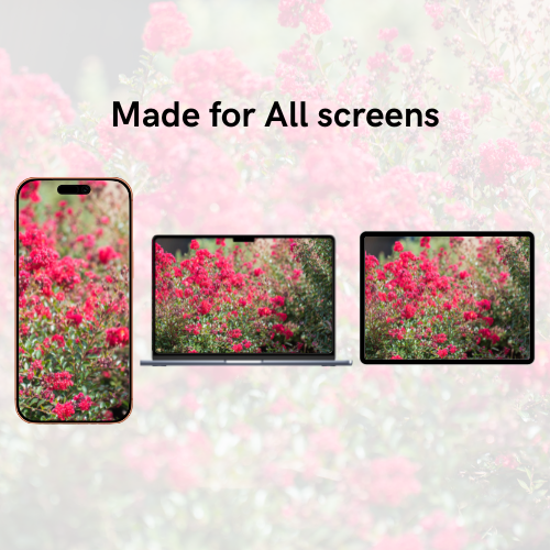 Plants Summer-Fall Pack