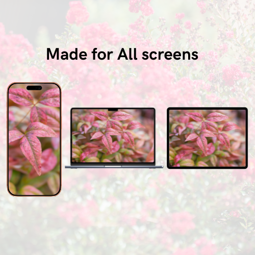 Plants Summer-Fall Pack