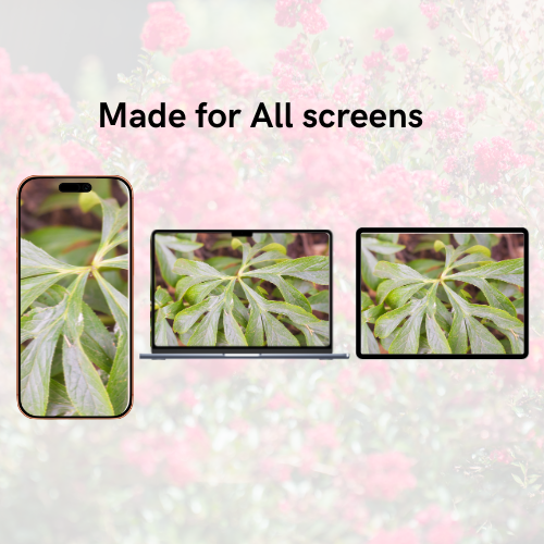 Plants Summer-Fall Pack