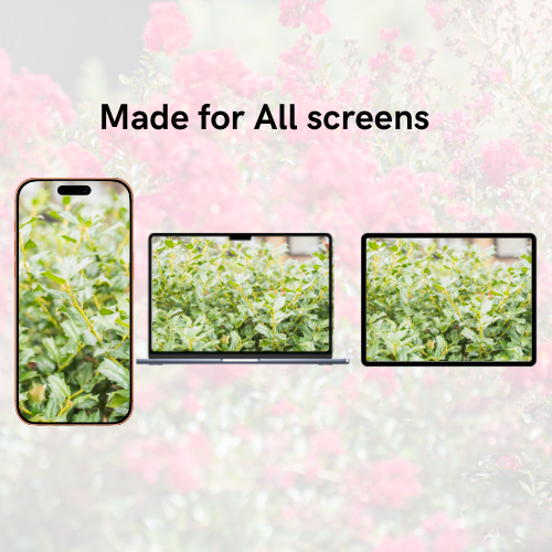 Plants Summer-Fall Pack