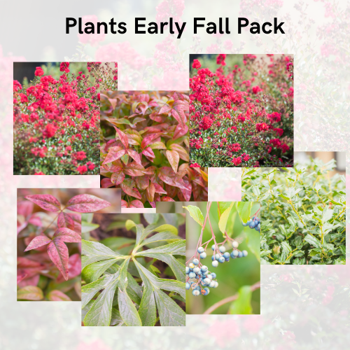 Plants Summer-Fall Pack